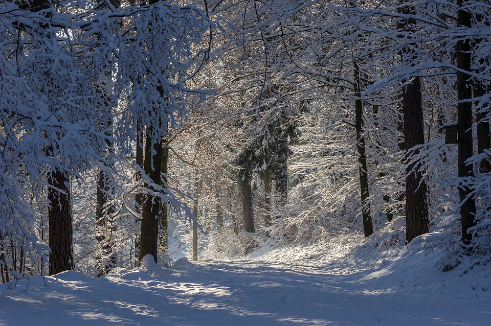 Vintertid huvudbild